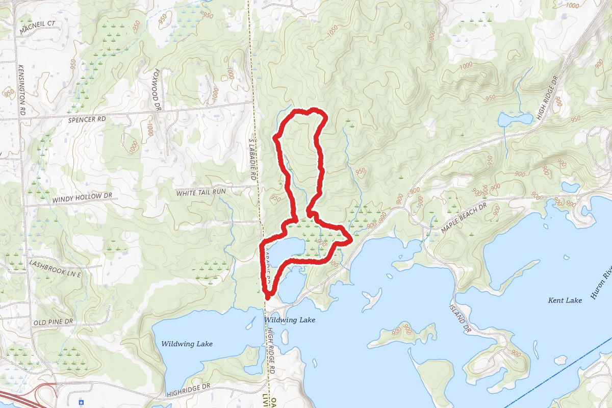 Tamarack, Deer Run and Chicadee Loop