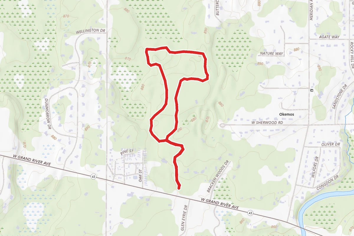 Ted Black Woods Blue Loop via Yellow Trail