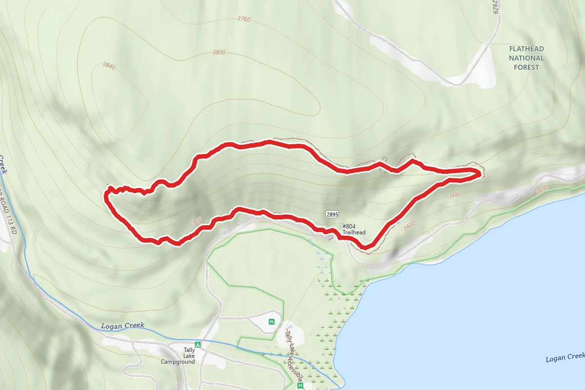 Tally Lake Overlook Trail #804