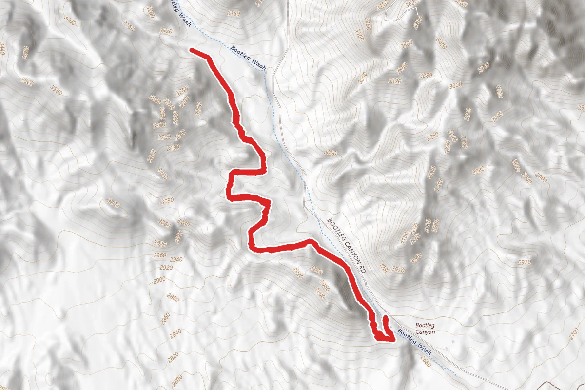 Girl Scout and West Leg Trail
