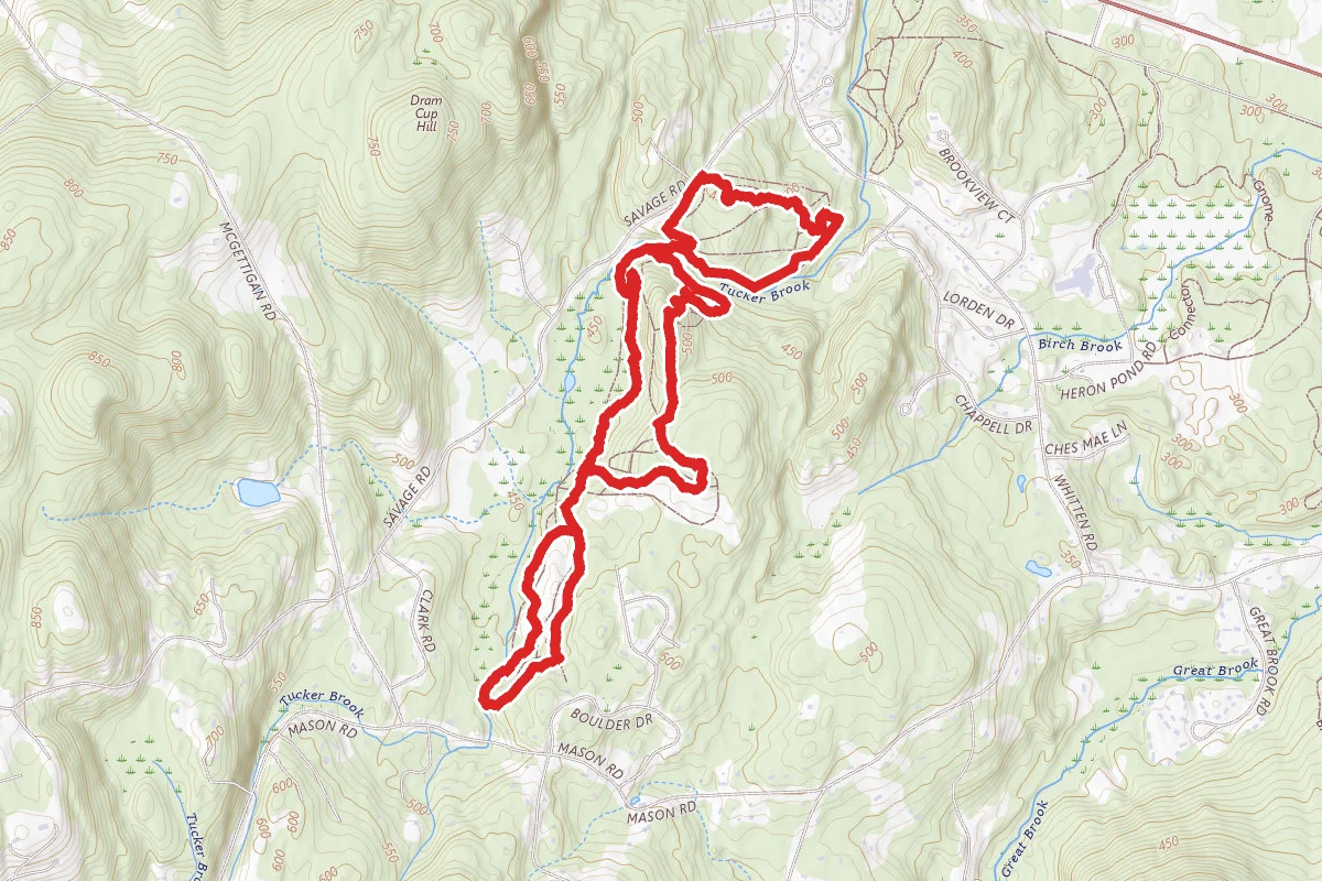 Ridge, Lower Path, Brook, Forest and Beech Trail Loop