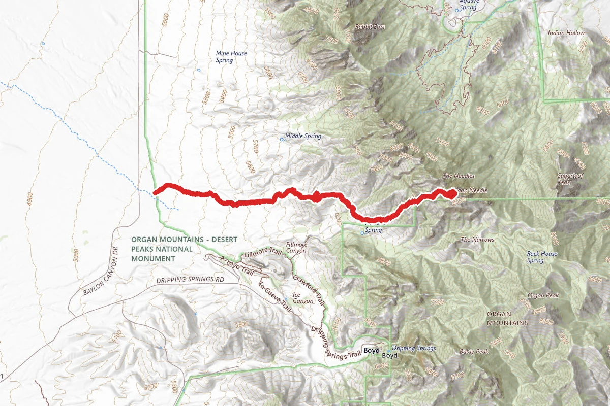 Organ Needle from Baylor Canyon Road