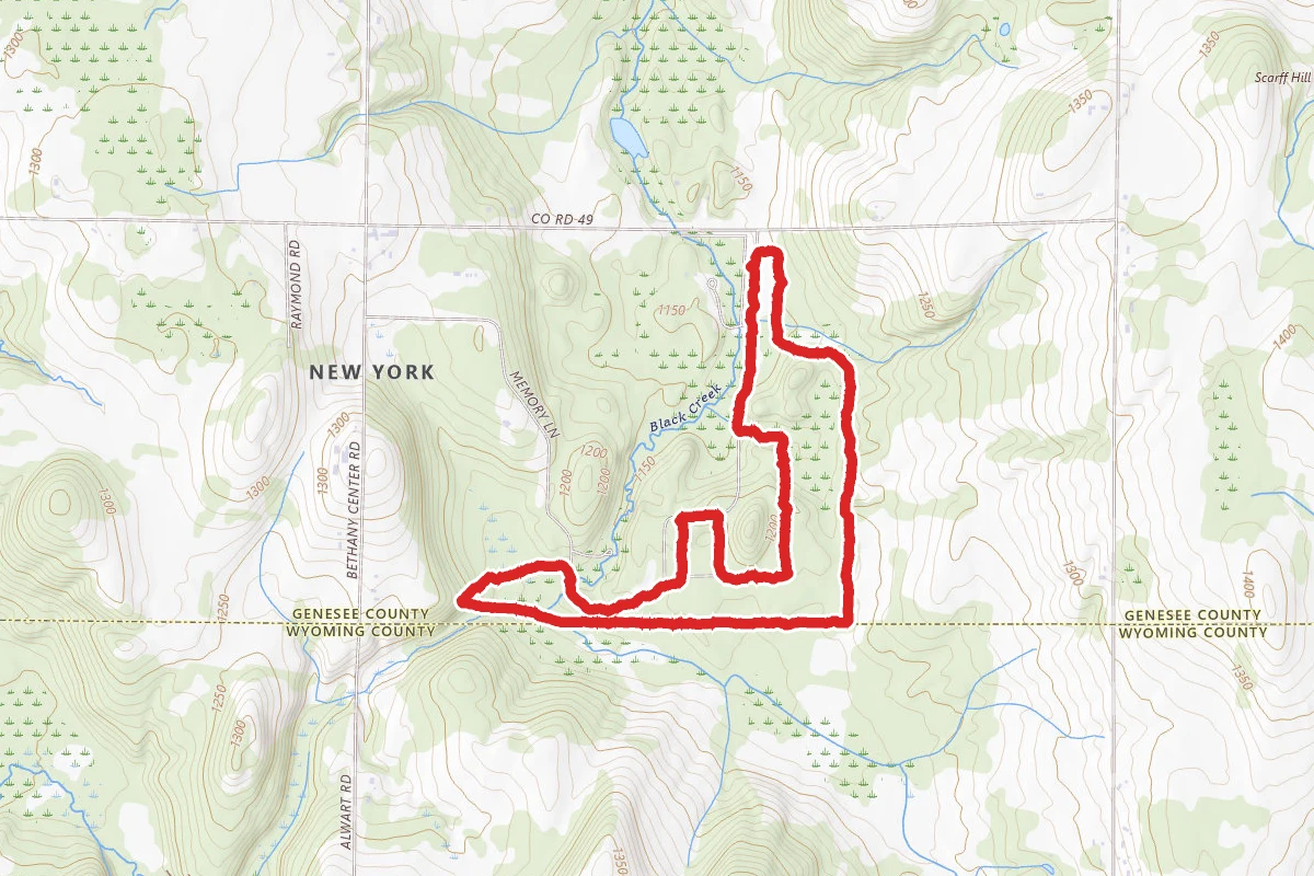 Acorns 5K Trail