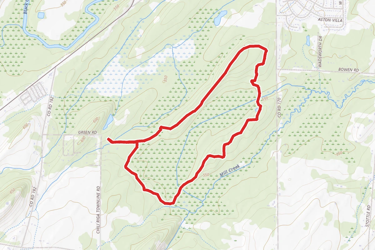 Hardwood Swamp Trail