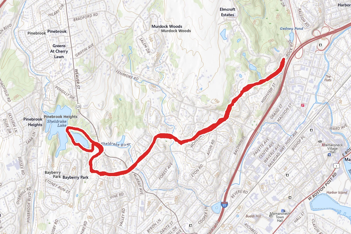 Leatherstocking Trail to Sheldrake Lake