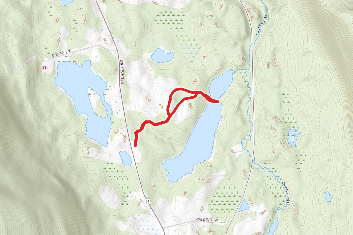 Lindsay-Parsons Biodiversity Preserve Trails