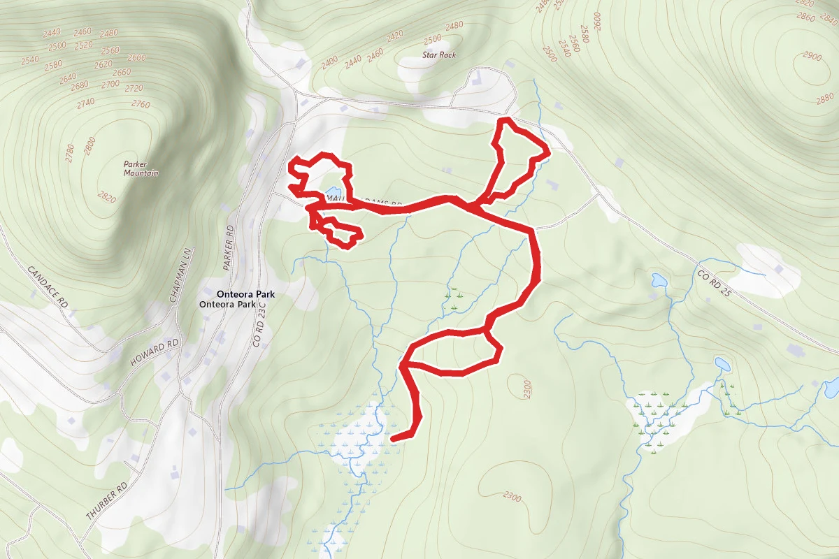 Mountain Top Arboretum Loop