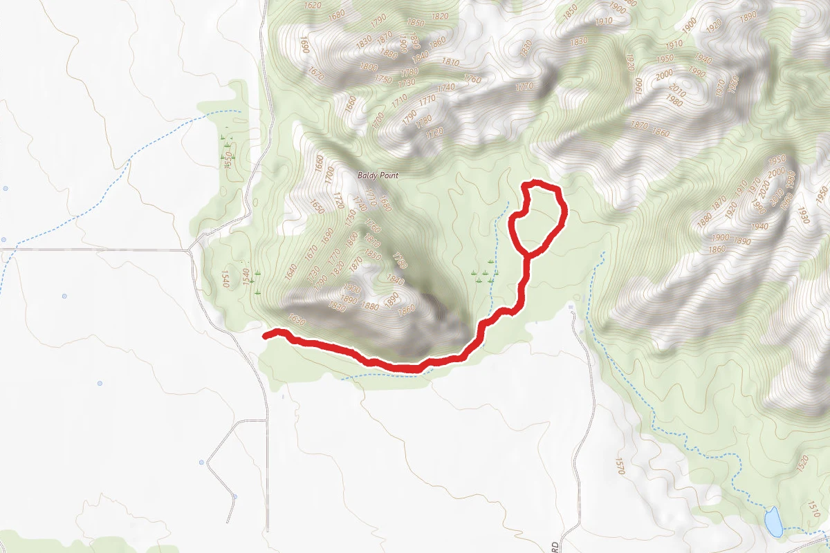 Baldy Point and Cedar Valley Trail