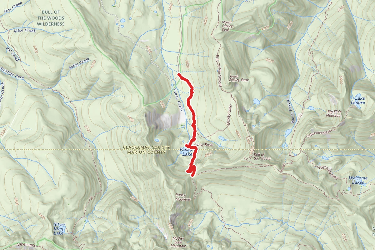 Pansy Lake Trail #551