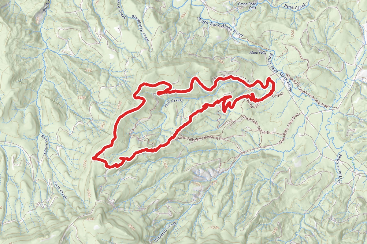 Whistle Punk to Springboard Loop