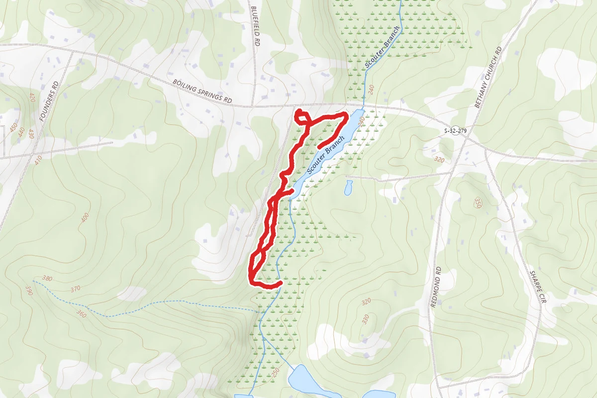 Shealy’s Pond Trail