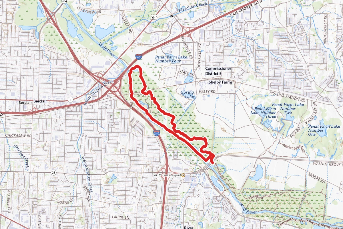 Wolf River Trail Yellow to Wolf River Trail Blue Loop