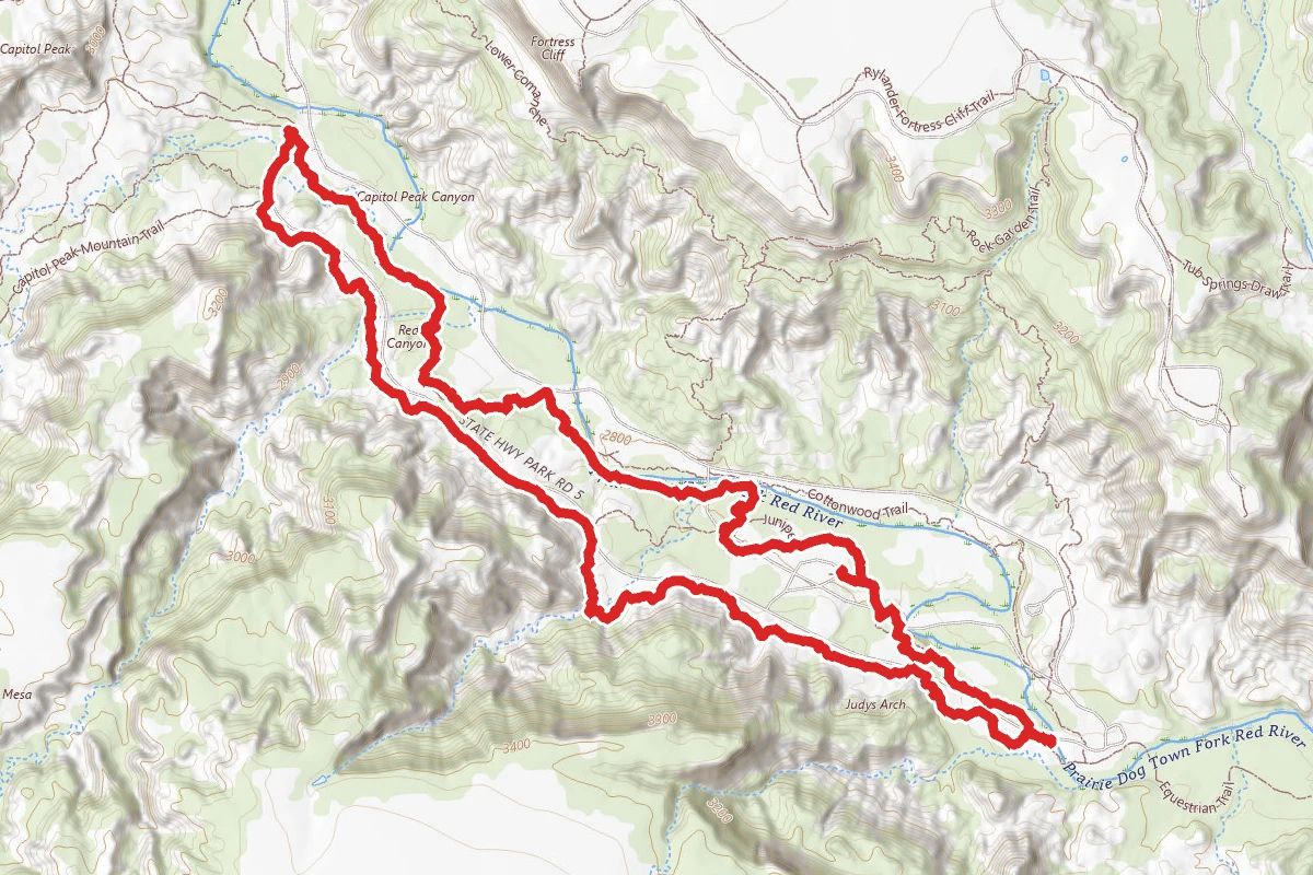 Juniper, Sunflower, and Roho Grande Loop
