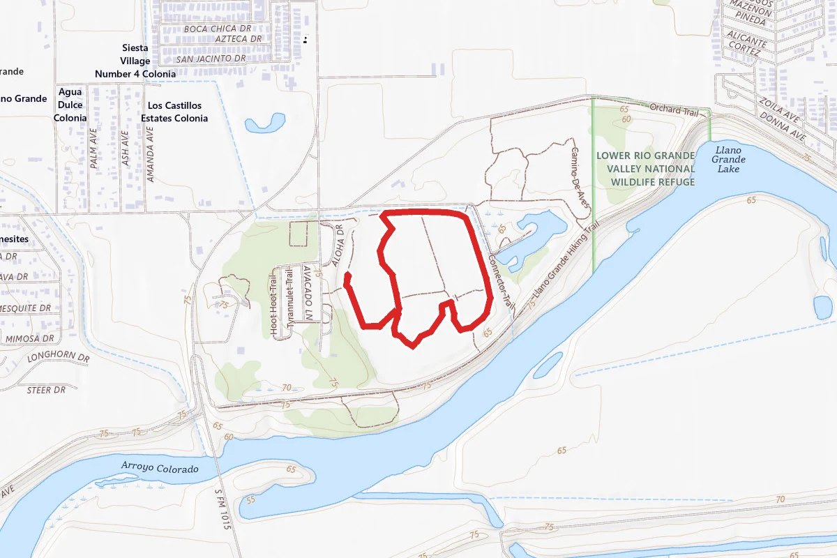 Estero Llano Grande, Frontera Audubon Thicket, and Valley Nature Center
