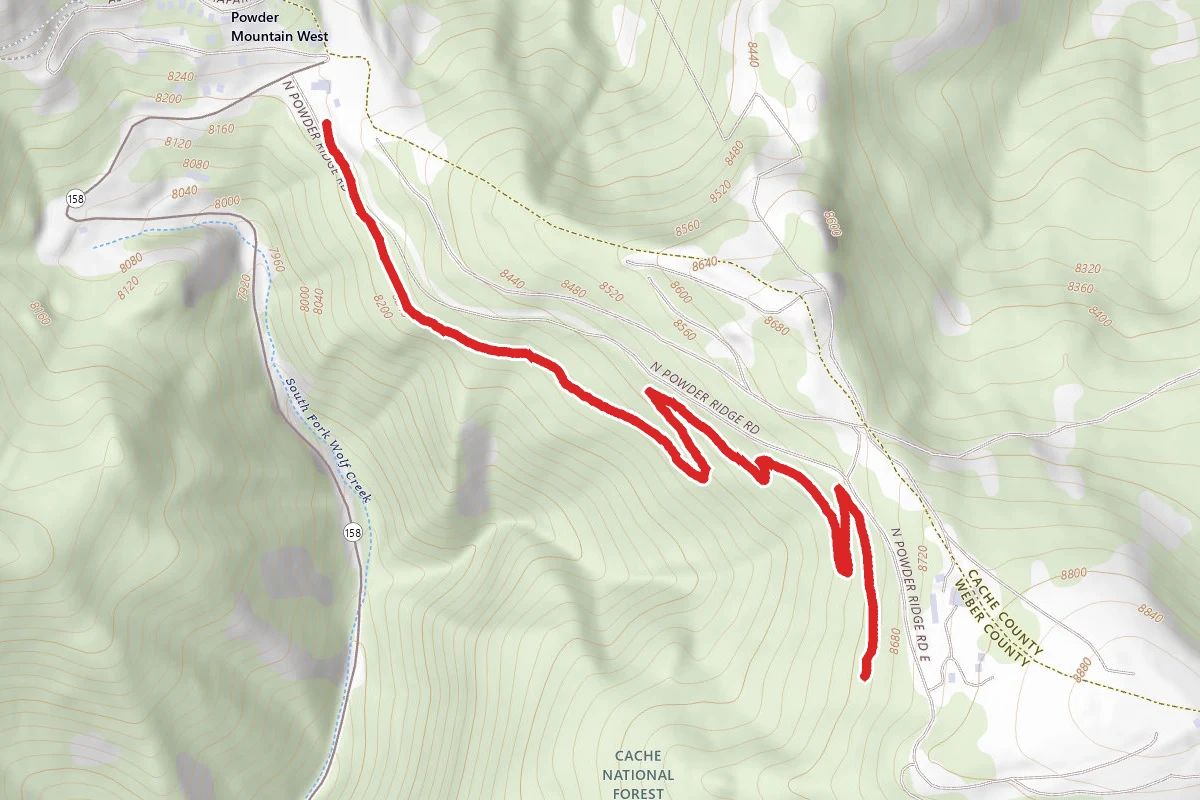Woody’s World Trail