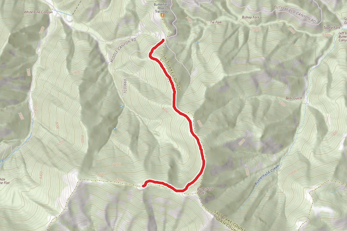 Butterfield Peak