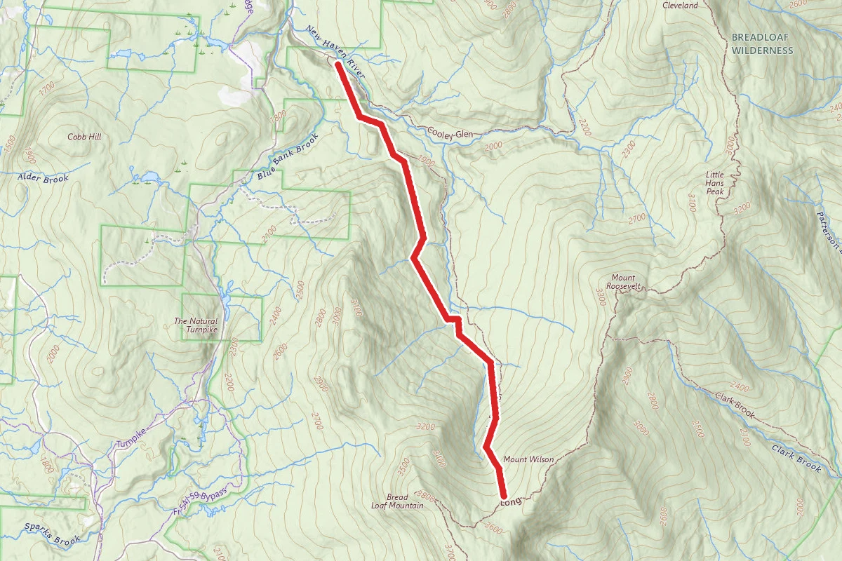 Emily Proctor Trail