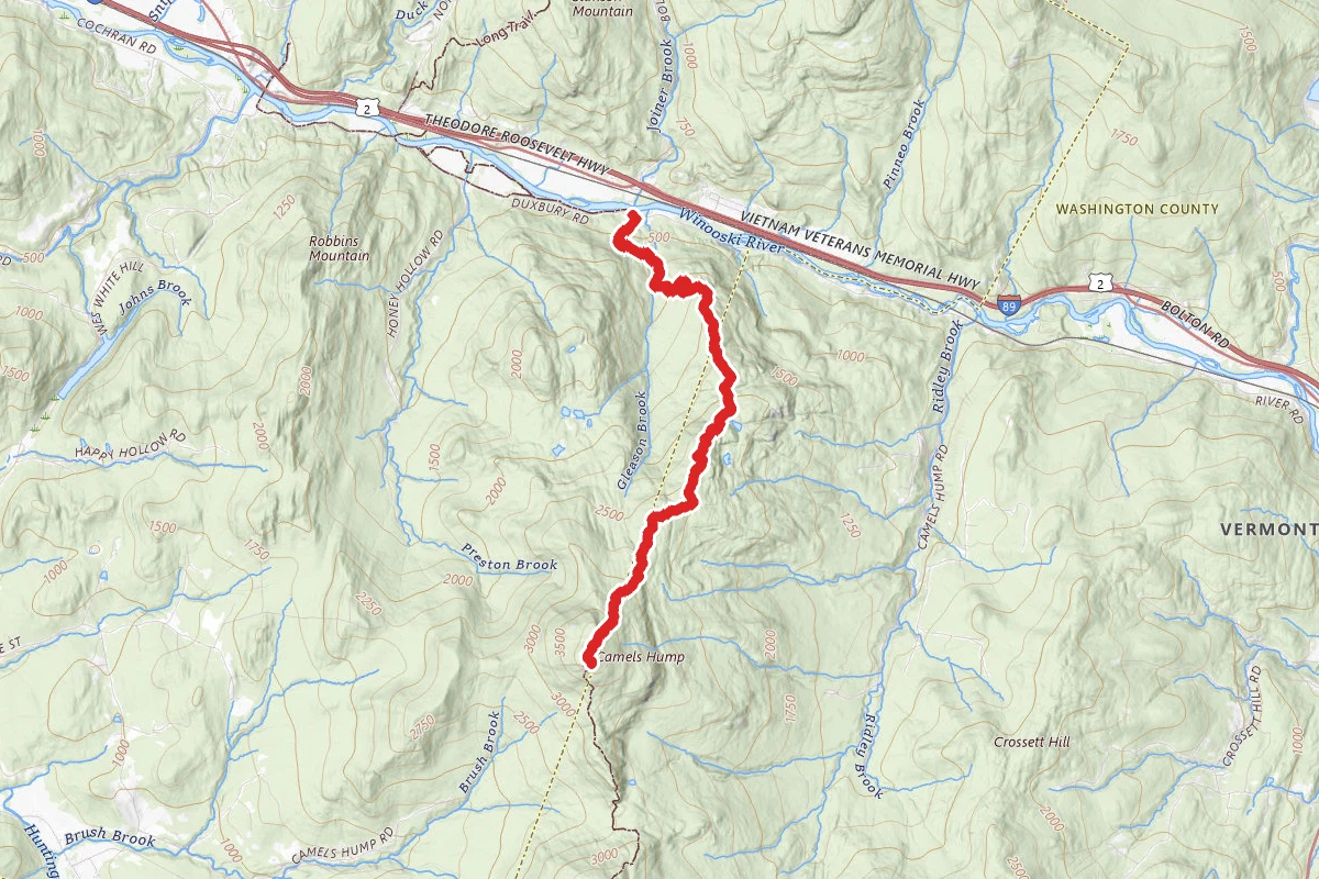 Camel's Hump via Long Trail South