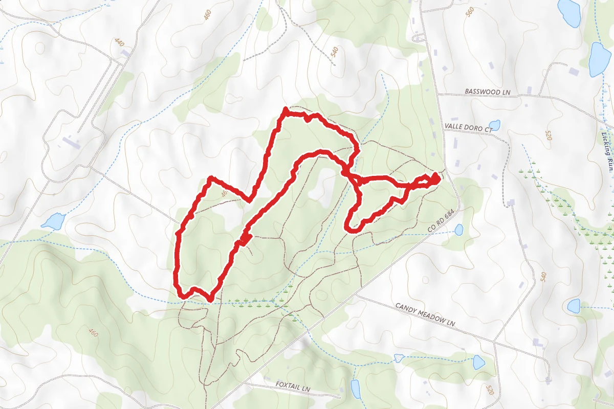 Whitney State Forest Loop