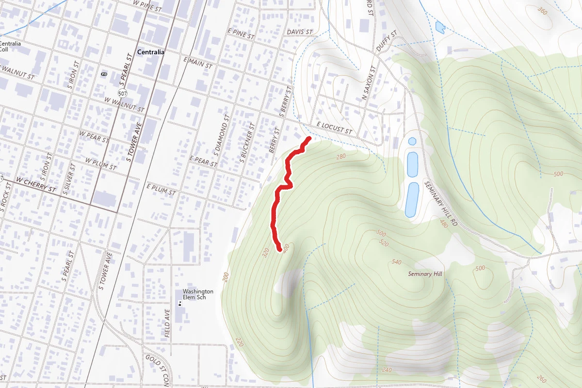 Indian Pipe Trail