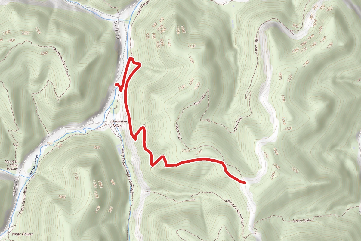 Teaberry Rock Trail