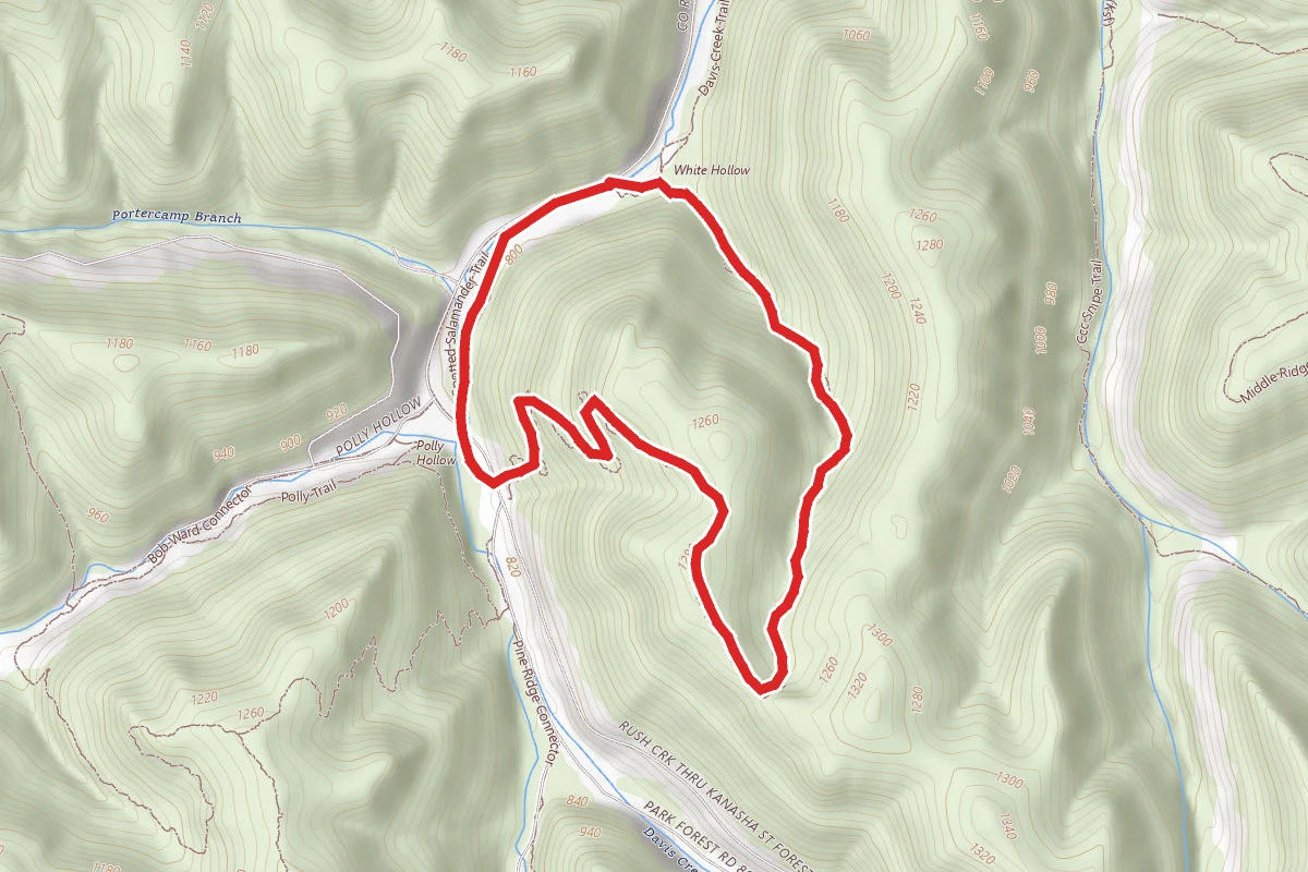 White Hollow Trail