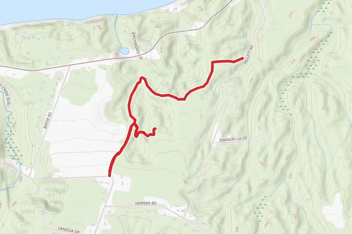 Big Field Trail and Meadow Trail
