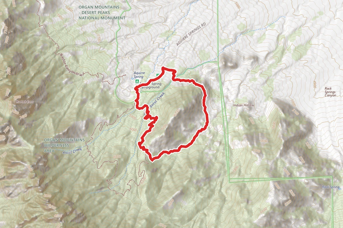 Indian Hollo and Pine Tree Loop Trail