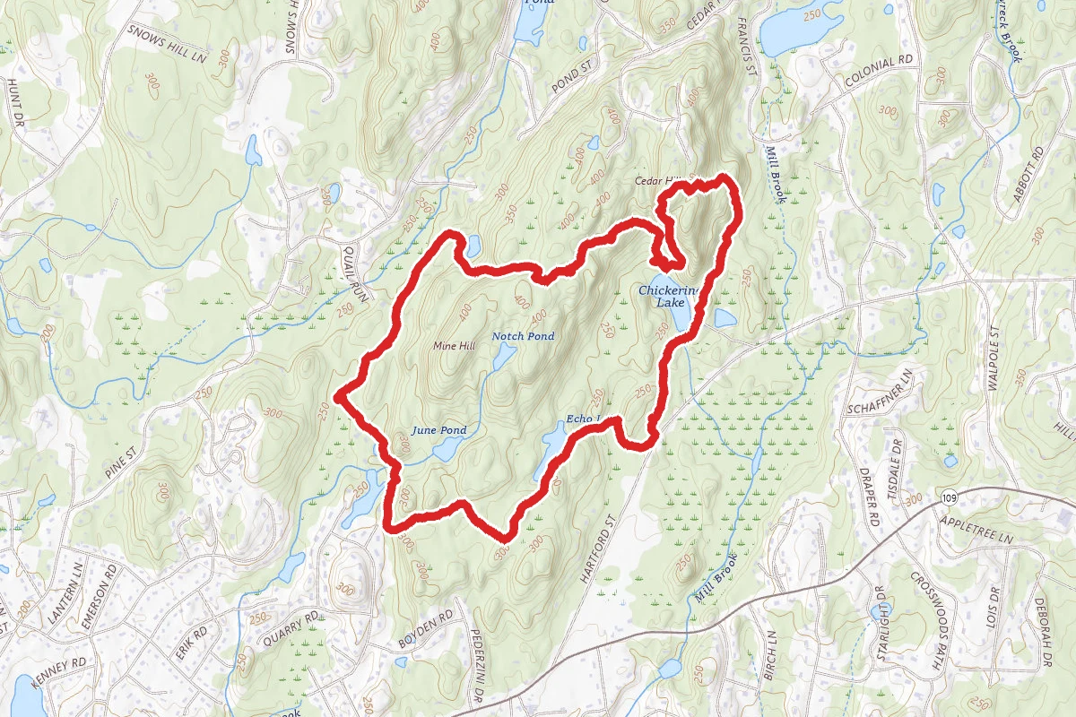 Cedar Hill, Wilson Swamp, Cheney Pond and East West Trail