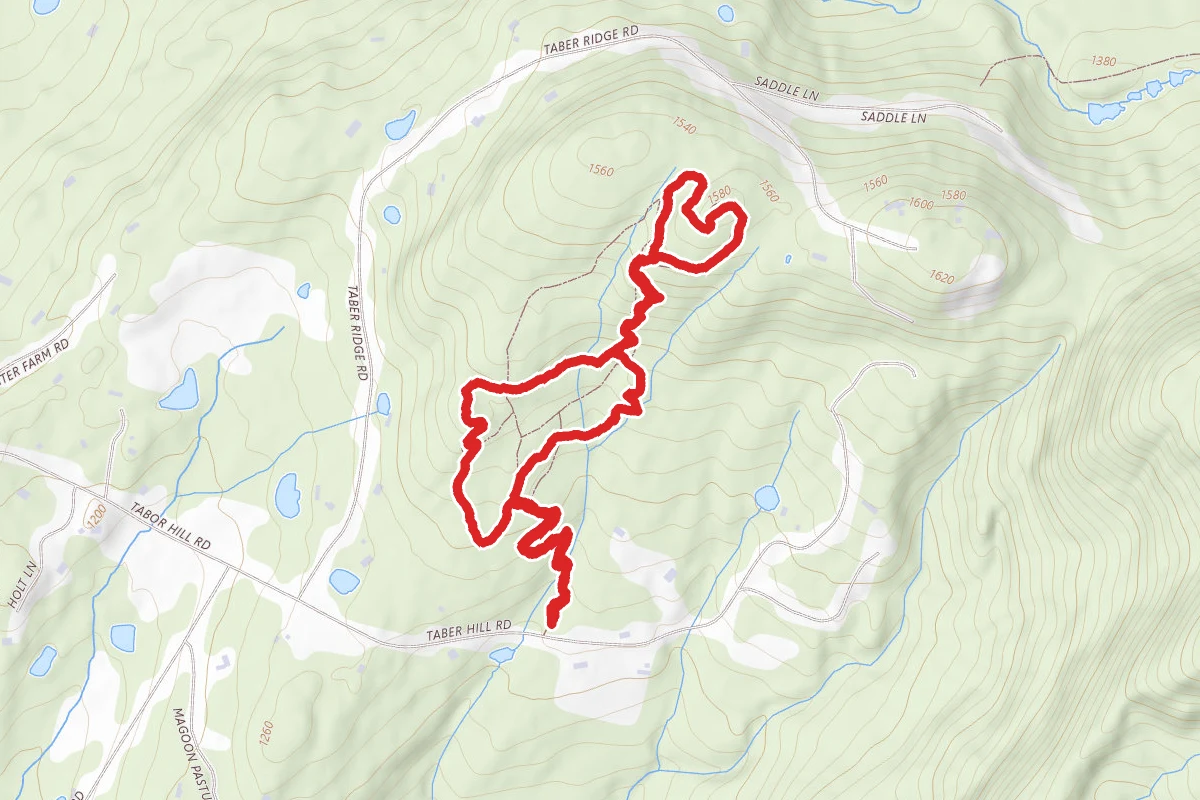 Kirchner Woods Loop