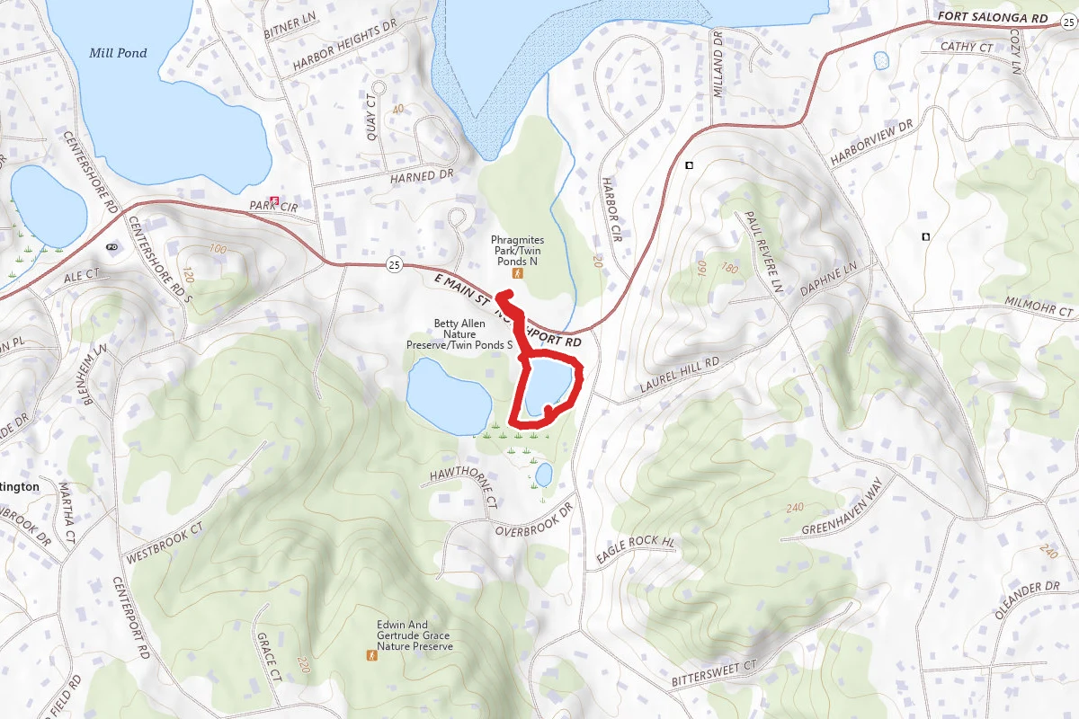 Betty Allen Pond Trail