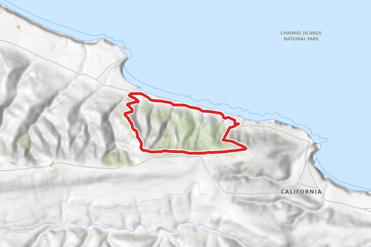 Torrey Pines Trail