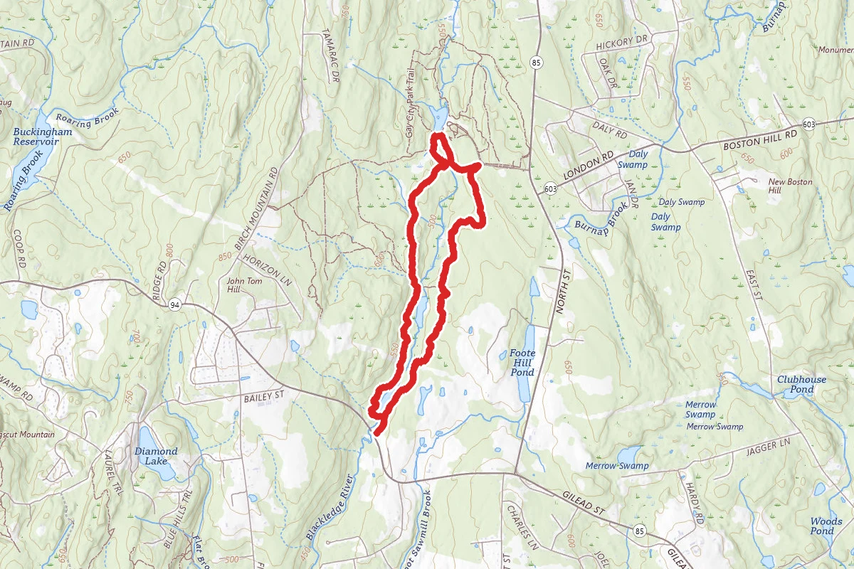 Foote Road to Gay City Loop