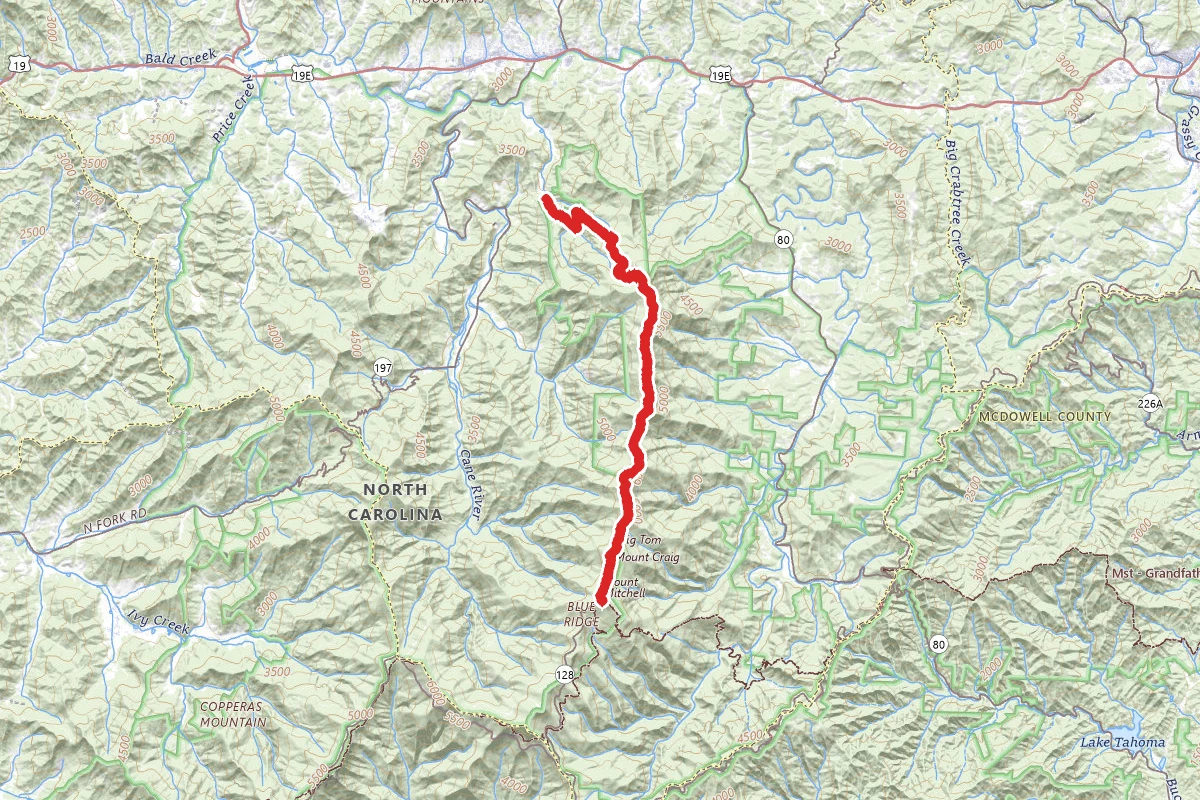 Black Mountain Crest Trail