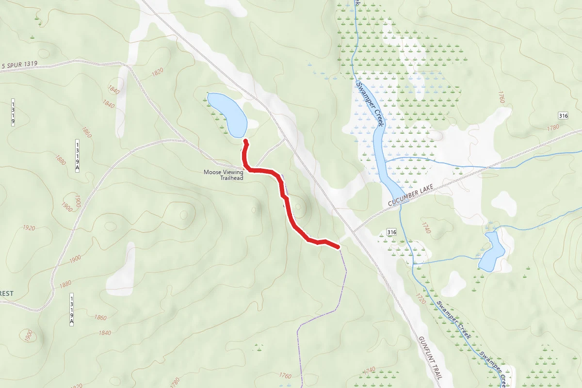 Moose Viewing Trail