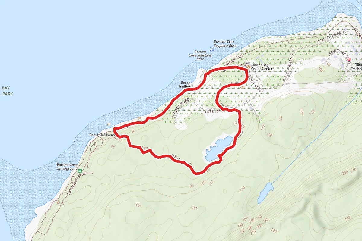 Bartlett Cove Forest Loop Trail