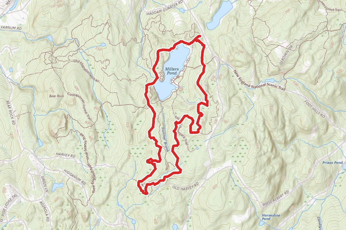 Millers Pond Red Trail Loop