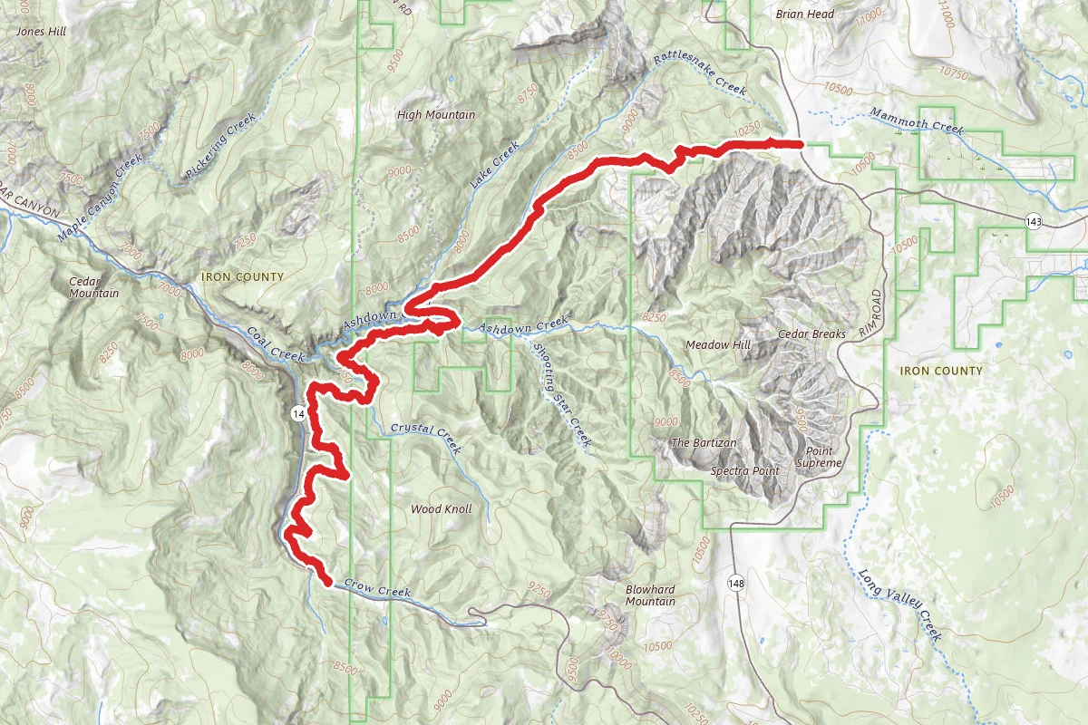 Rattlesnake Creek - Ashdown Gorge Trail