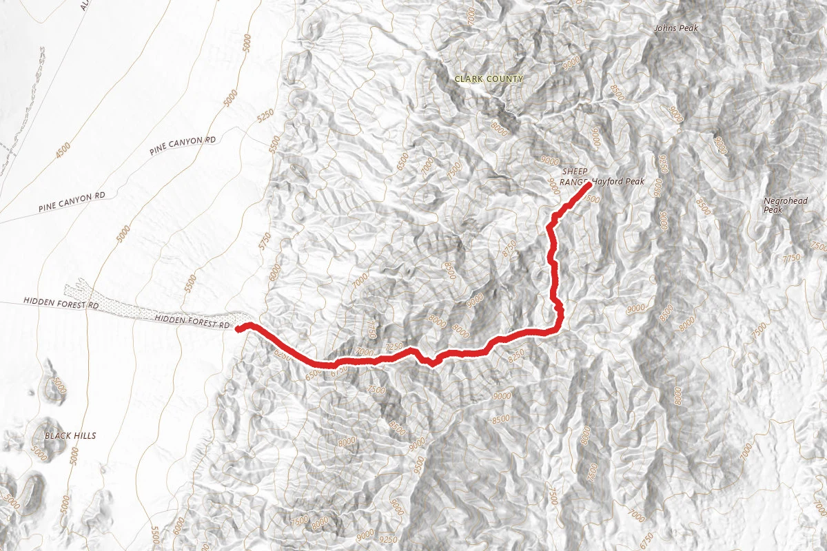 Hayford Peak