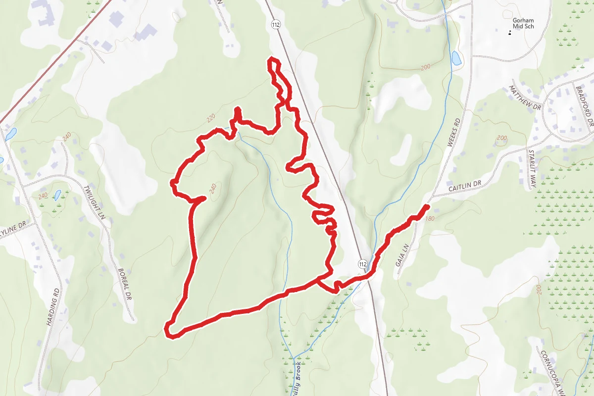 Fraizer, Moody Blues and Unchained Trail
