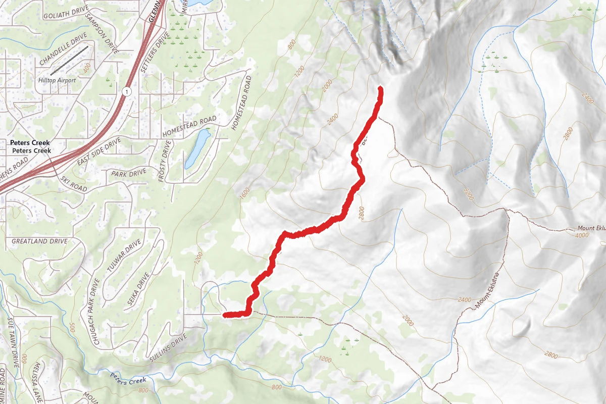 Winter Bear Mountain