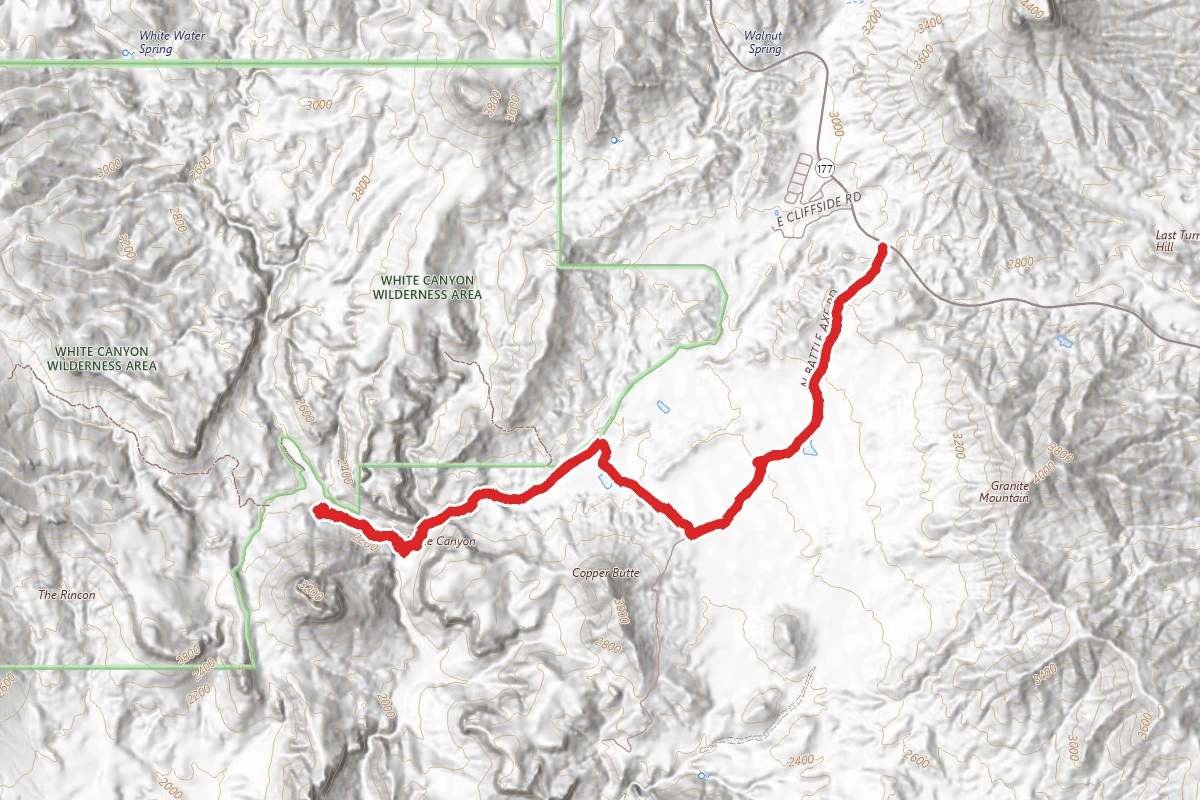 Battle Axe Road to White Canyon Wilderness