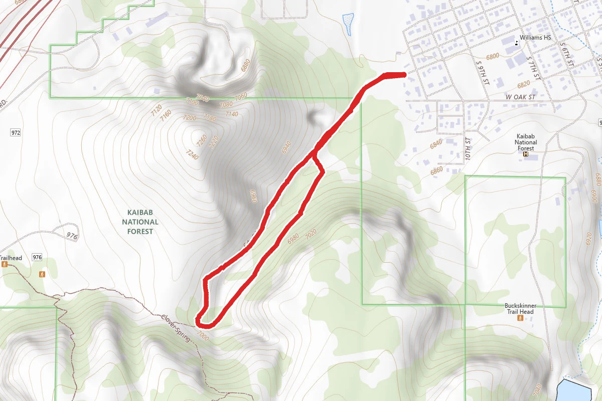 Gasline Loop