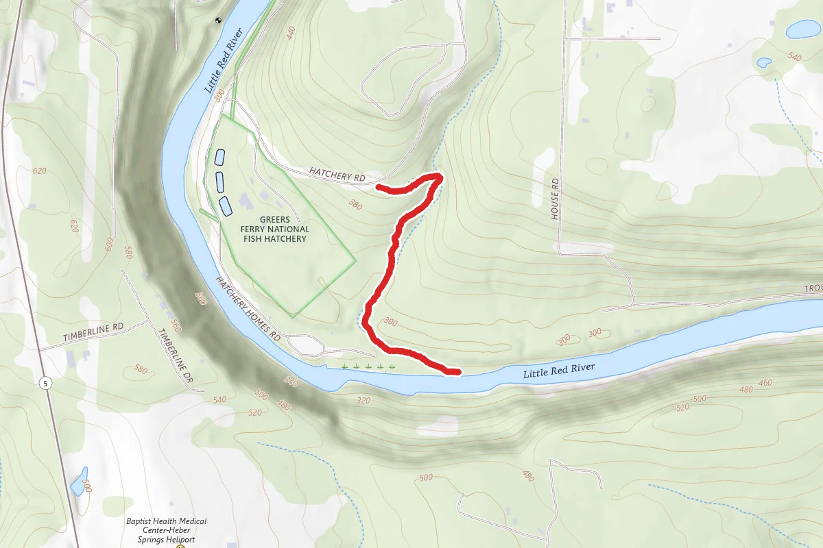 Collins Creek Trail