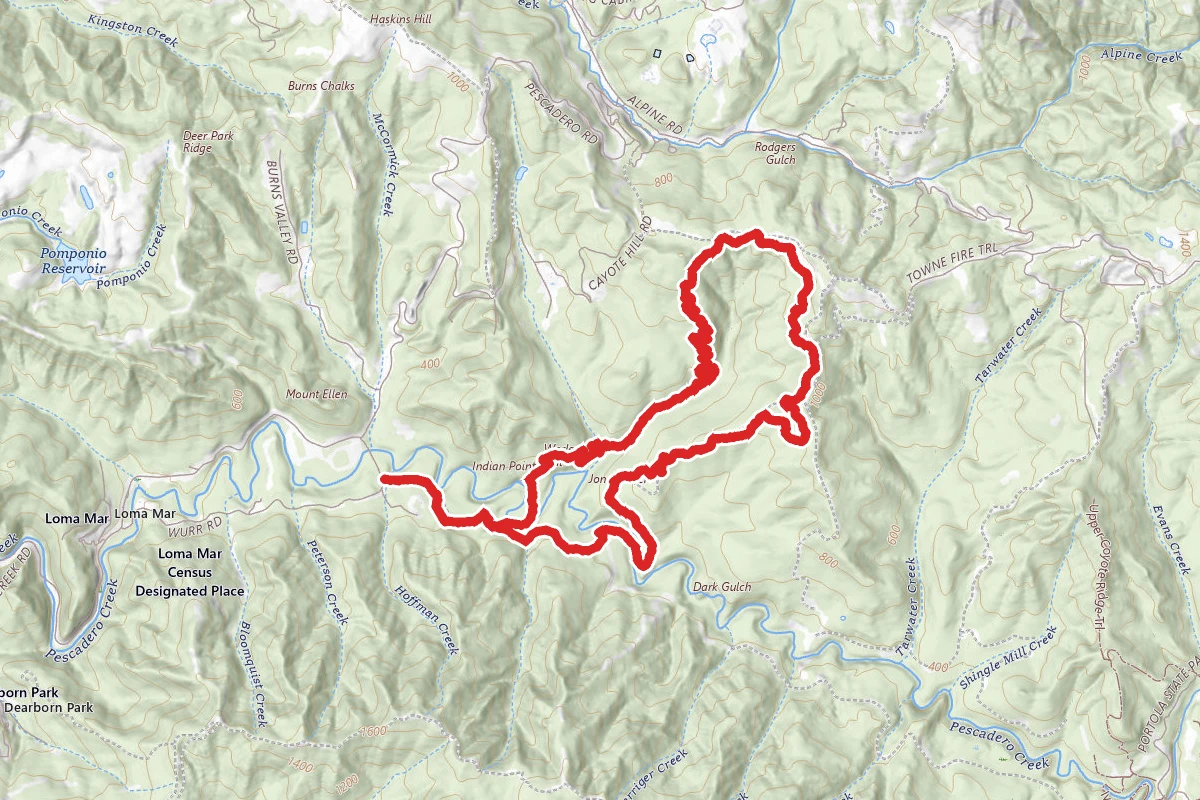 Pescadero Creek and Brook Trail Loop