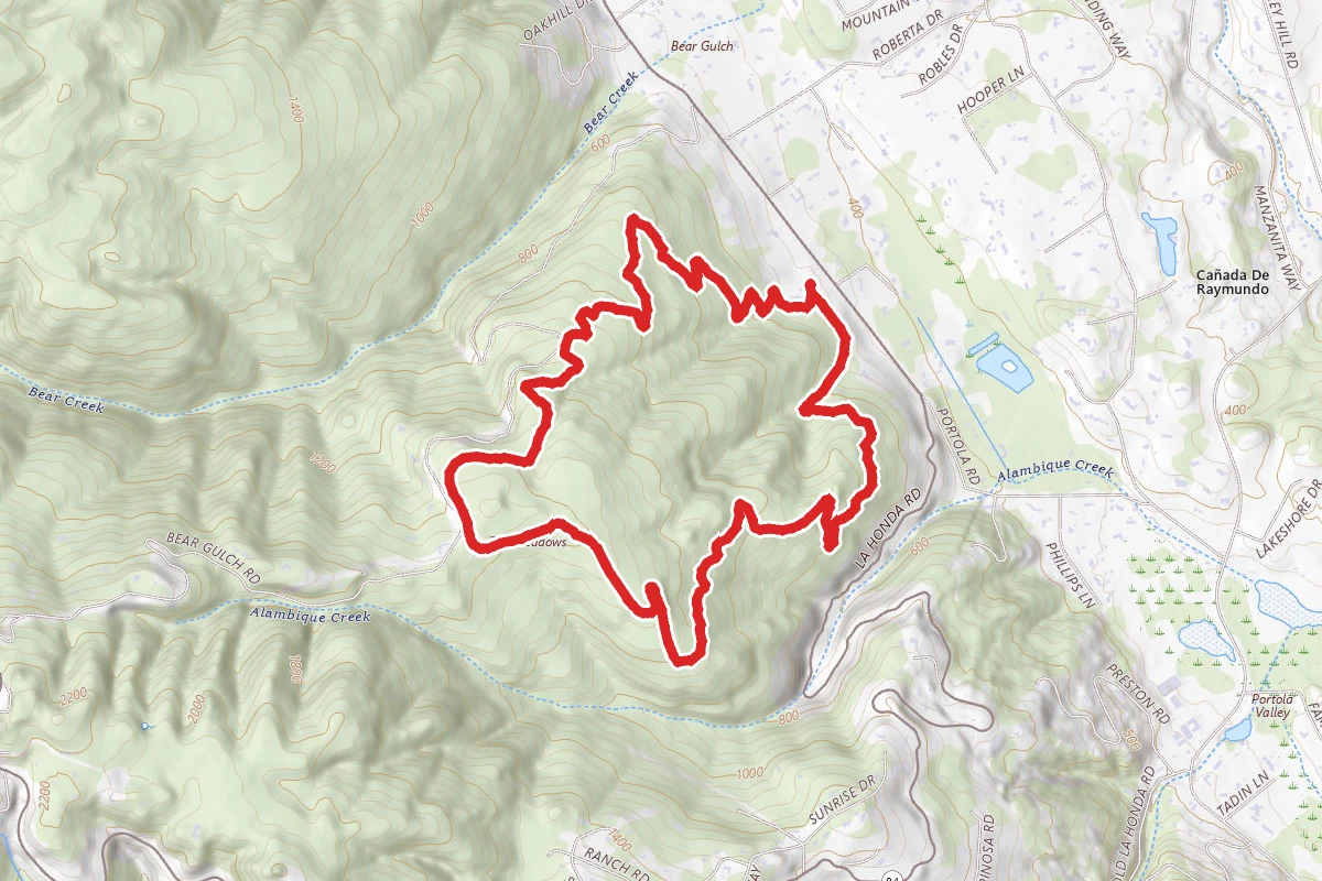 Redwood and Salamander Flat