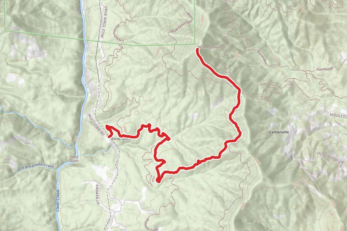Stoney Gultch Trailhead to Mule Mountain Summit