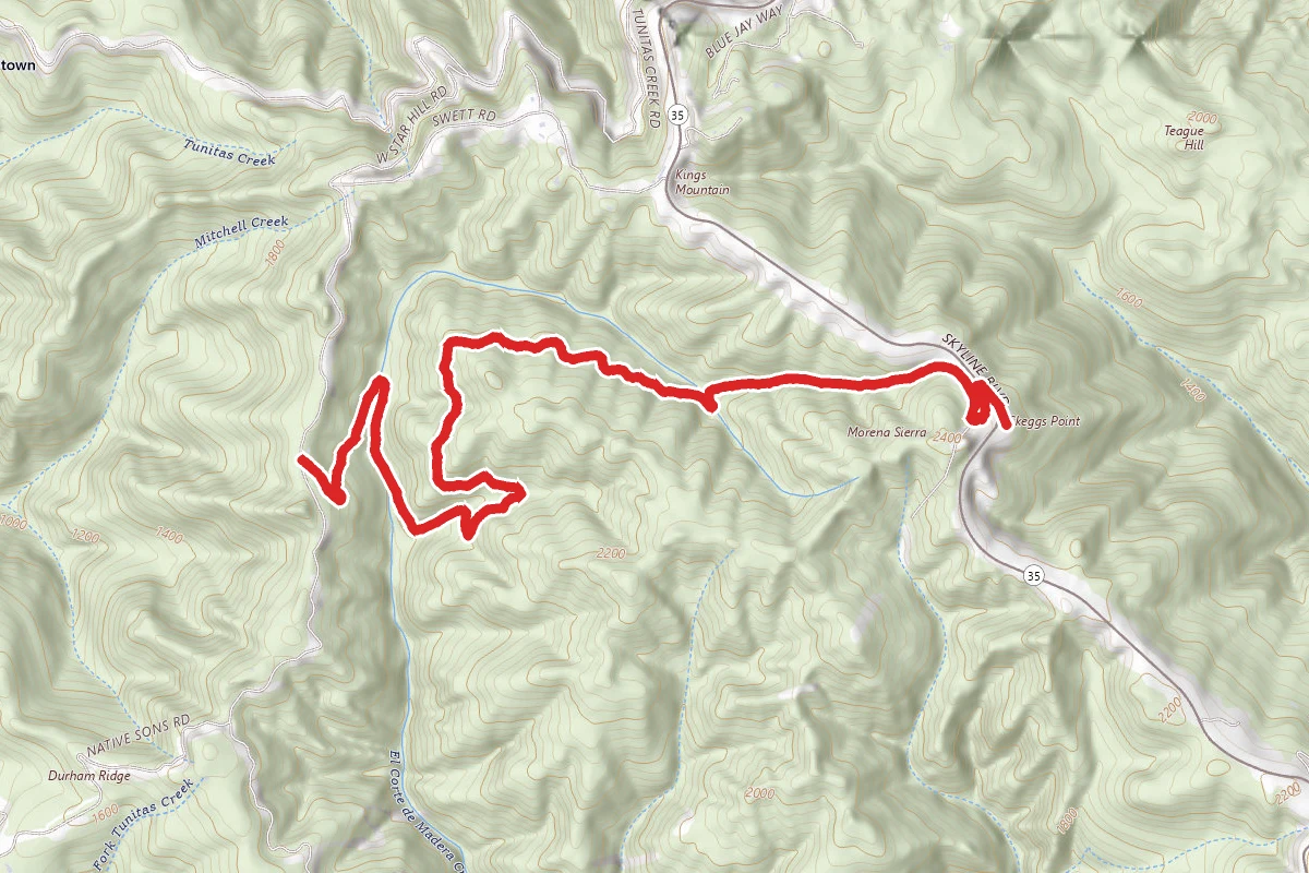 El Corte de Madera Creek Trail