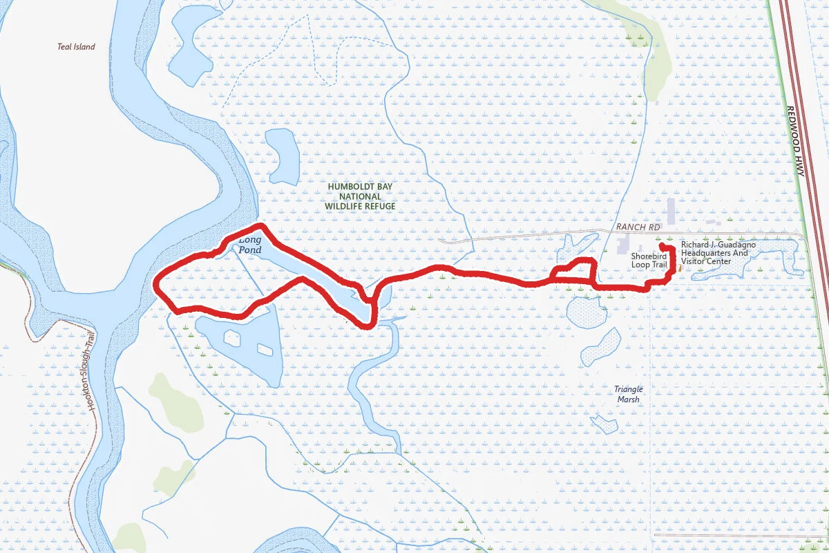 Shorebird Loop Trail
