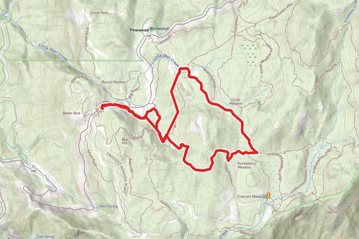 Huckleberry Trail to Alta Trail Loop
